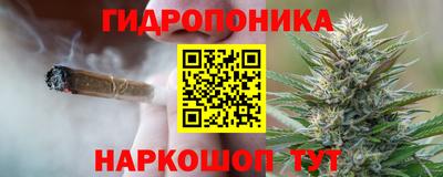 ешки Гатчина