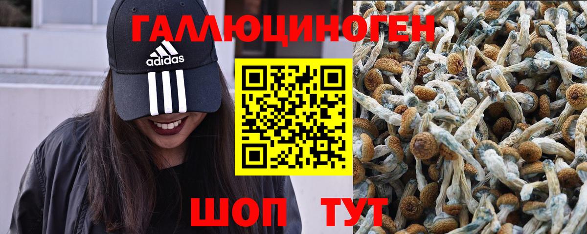 Галлюциногенные грибы Psilocybe  Галлюциногенные грибы Cubensis  Вход с VPN  Вязники 